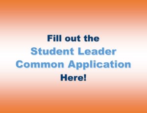 Leadership Widget