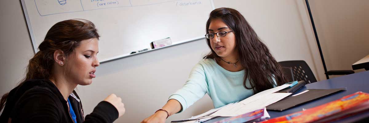 Tutoring a Student